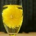 菊花苗
