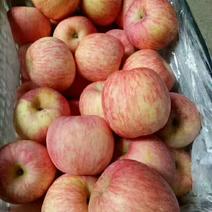 红富士苹果，山东红富士苹果价格！冷库红富士苹果便宜处理