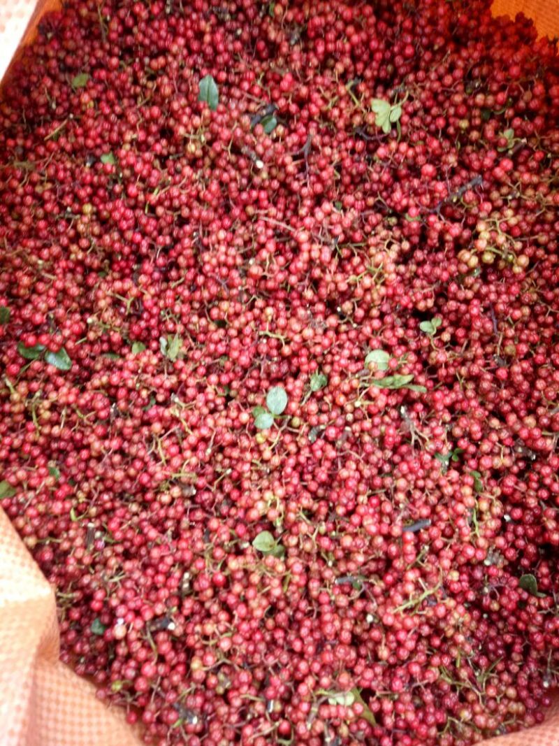 花椒特级鲜