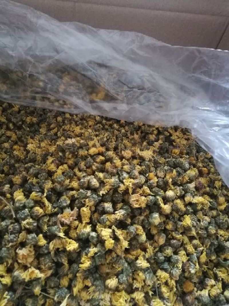 药用菊花袋装
