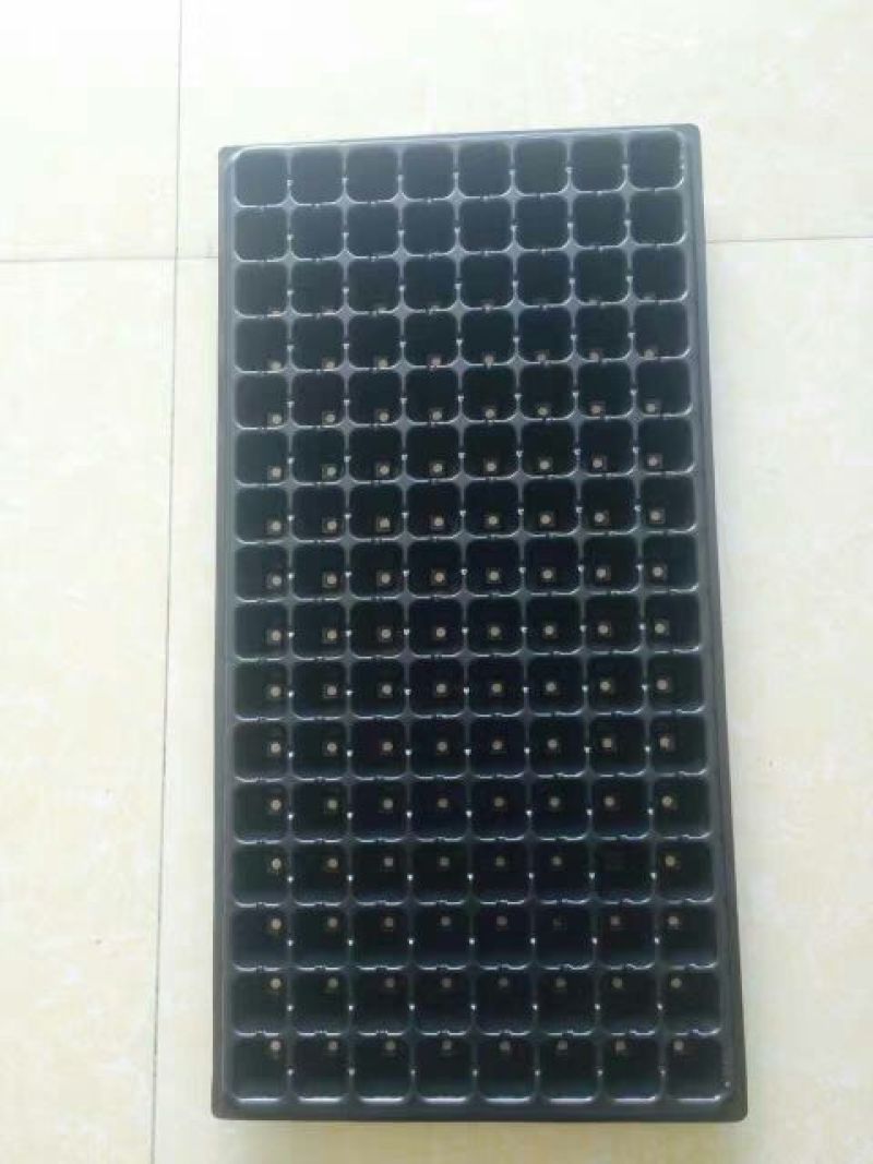 穴盘育苗穴盘。种植盘，育苗盘植物育苗容器