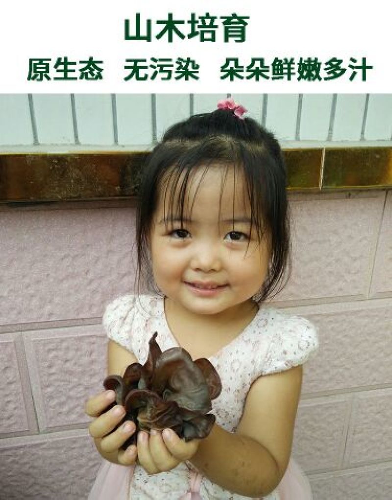 毛木耳二级