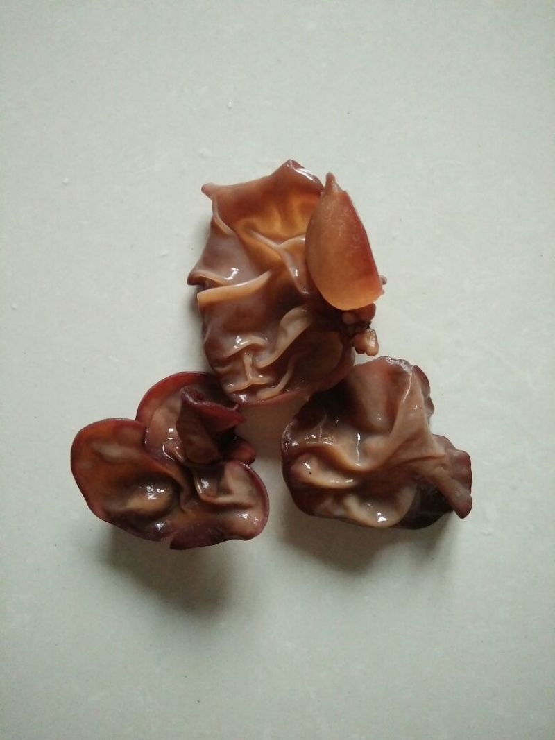 毛木耳二级