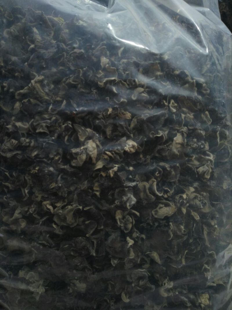 毛木耳二级