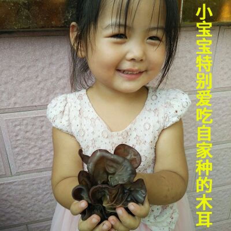 毛木耳二级
