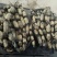 莲藕37359~11厘米10~15厘米以上