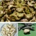 菱角米包装（包装按照客户指定要求来，有散装和抽真空。）