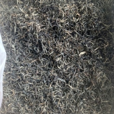 普洱茶一级