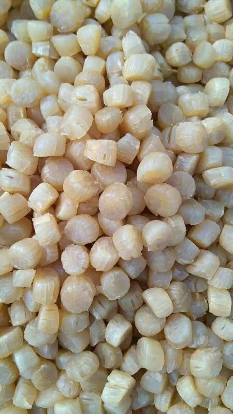 干瑶柱