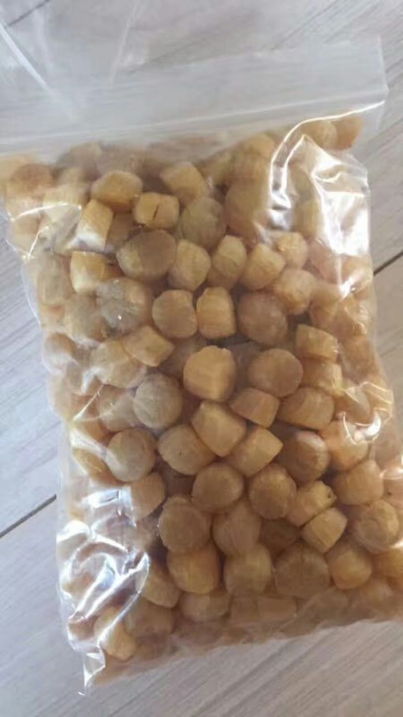 干瑶柱