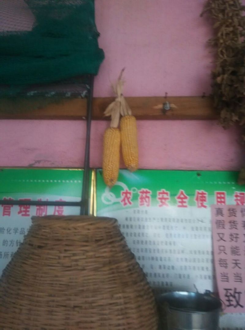 玉米纤维