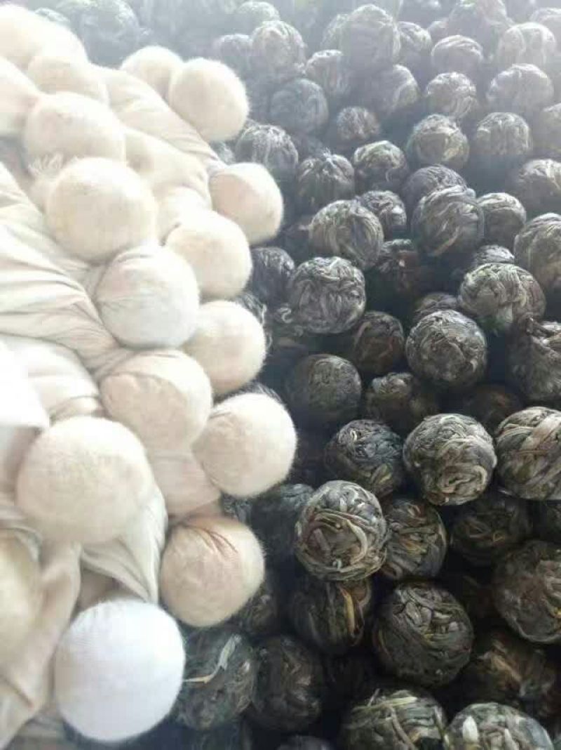 普洱茶一级