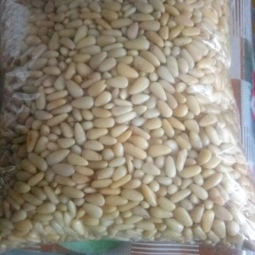 松子仁一级