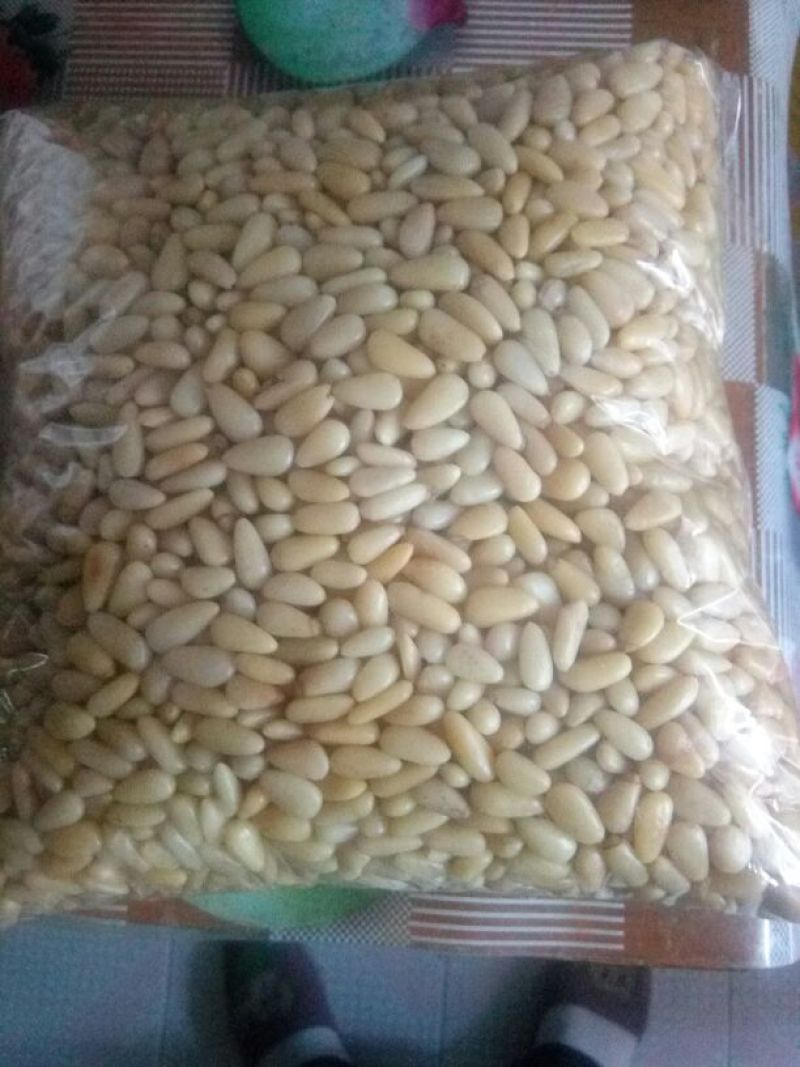 松子仁一级