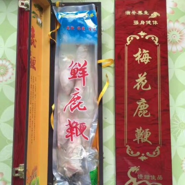 东北真鹿鞭鲜鹿鞭真空包装男用滋补泡酒煲汤