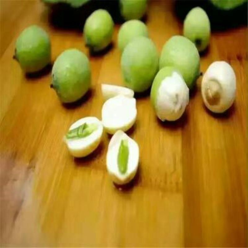 莲子壳