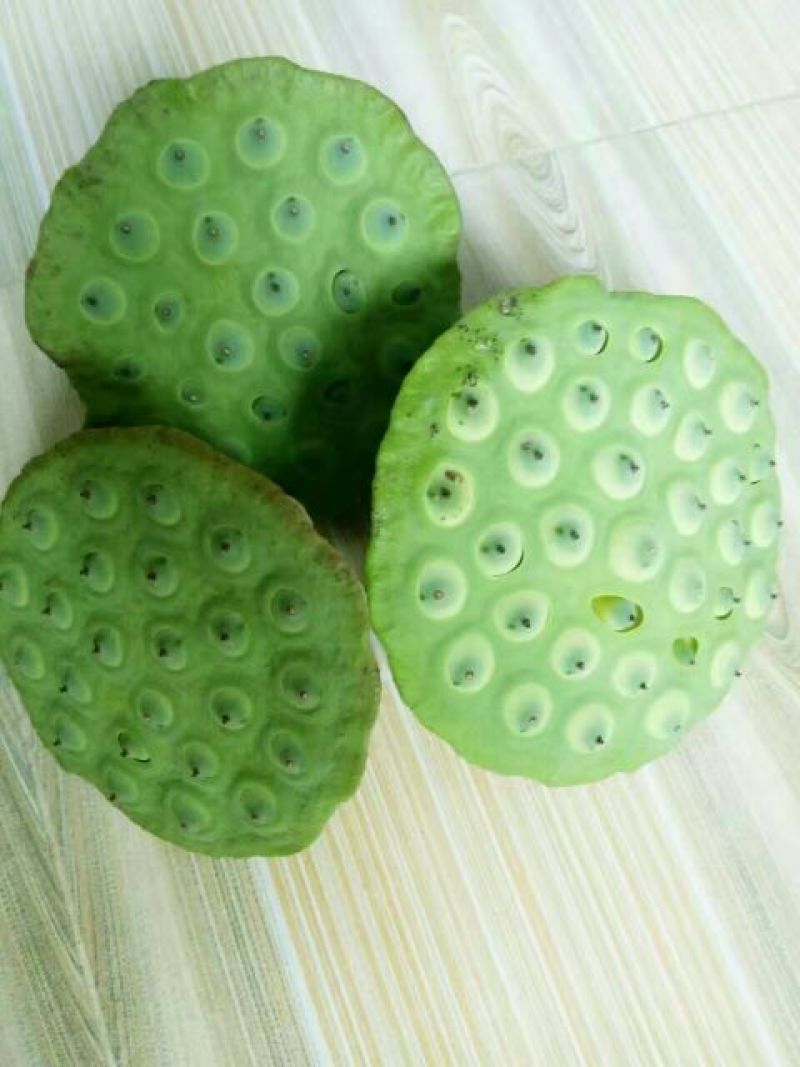莲子壳