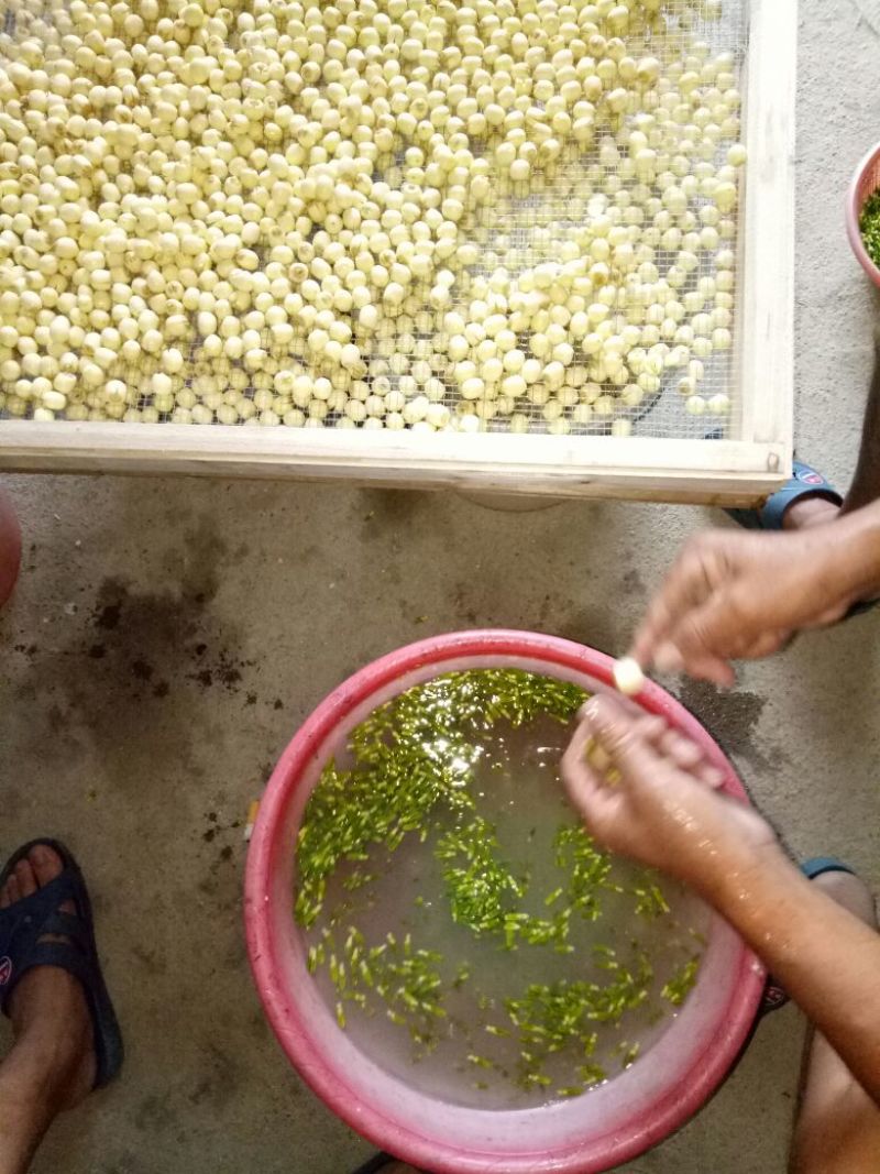 莲子特级干莲子