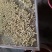 莲子特级干莲子