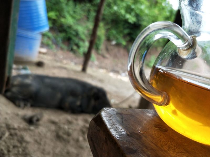 普洱茶二级
