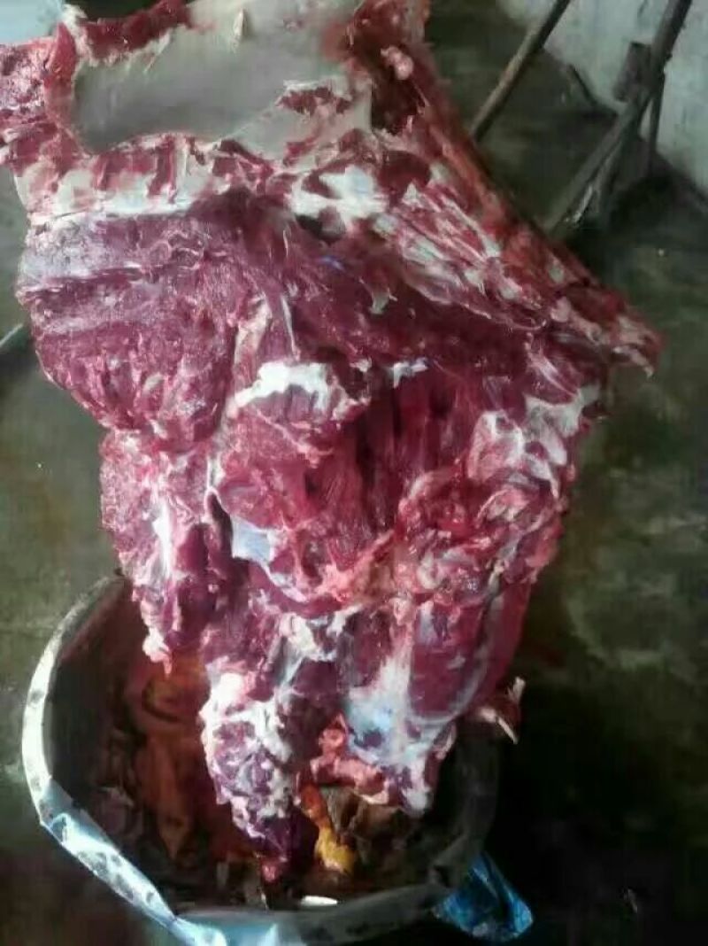 山东鲜驴肉质量保证，肉质鲜美，全国供应欢迎采购