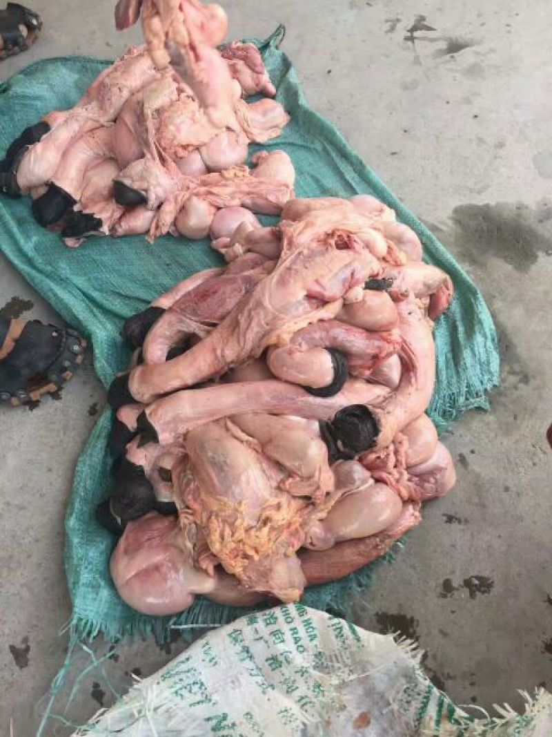 山东鲜驴肉质量保证，肉质鲜美，全国供应欢迎采购
