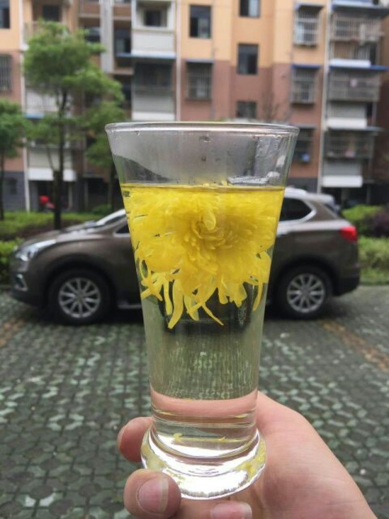 皇菊茶特级