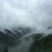 皇菊茶特级