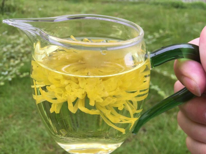皇菊茶特级