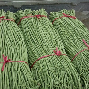 长豆角70厘米以上