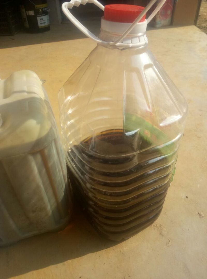 油菜籽1