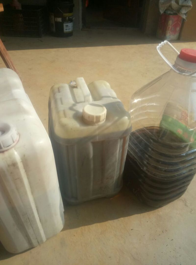 油菜籽1