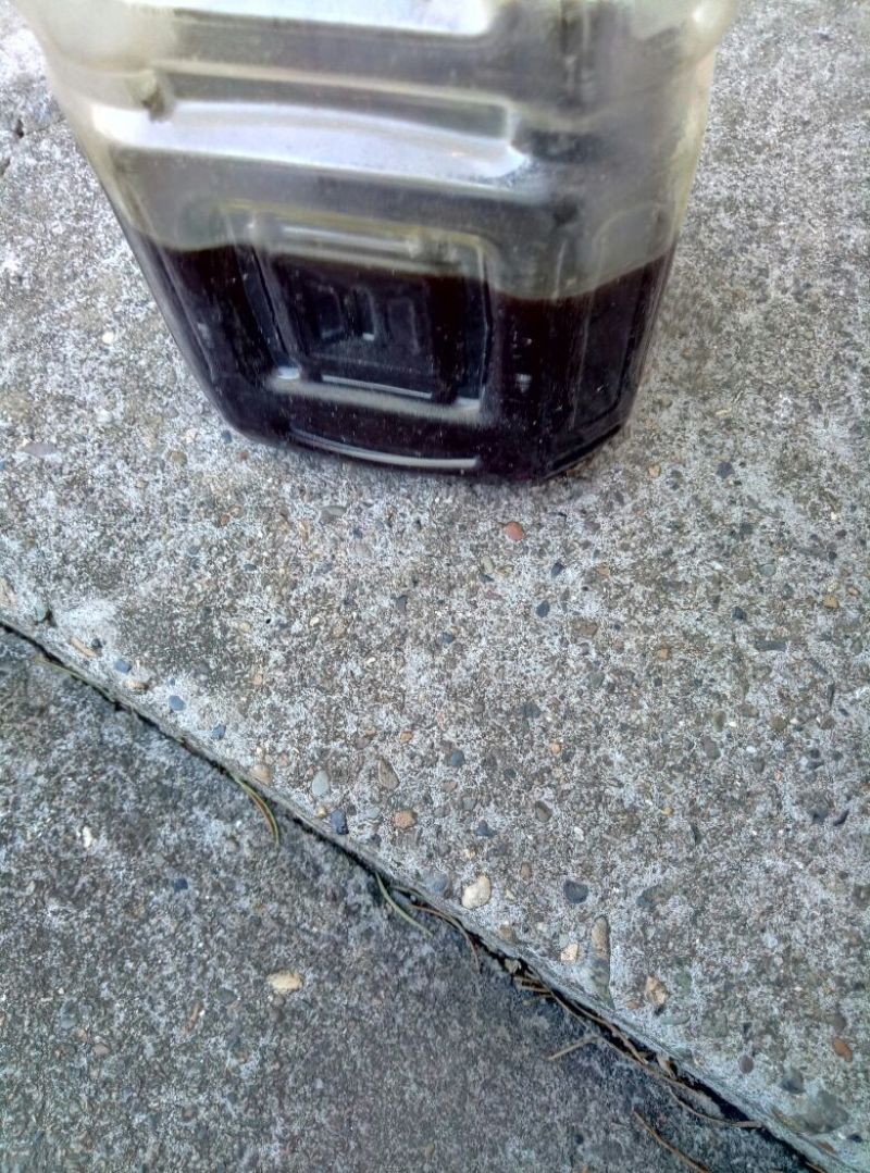 茶树油