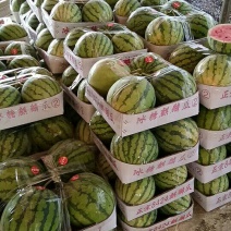 8424西瓜，5斤打底，8成熟，一级瓜，