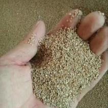 甘肃民勤沙漠米菱米细米精米
