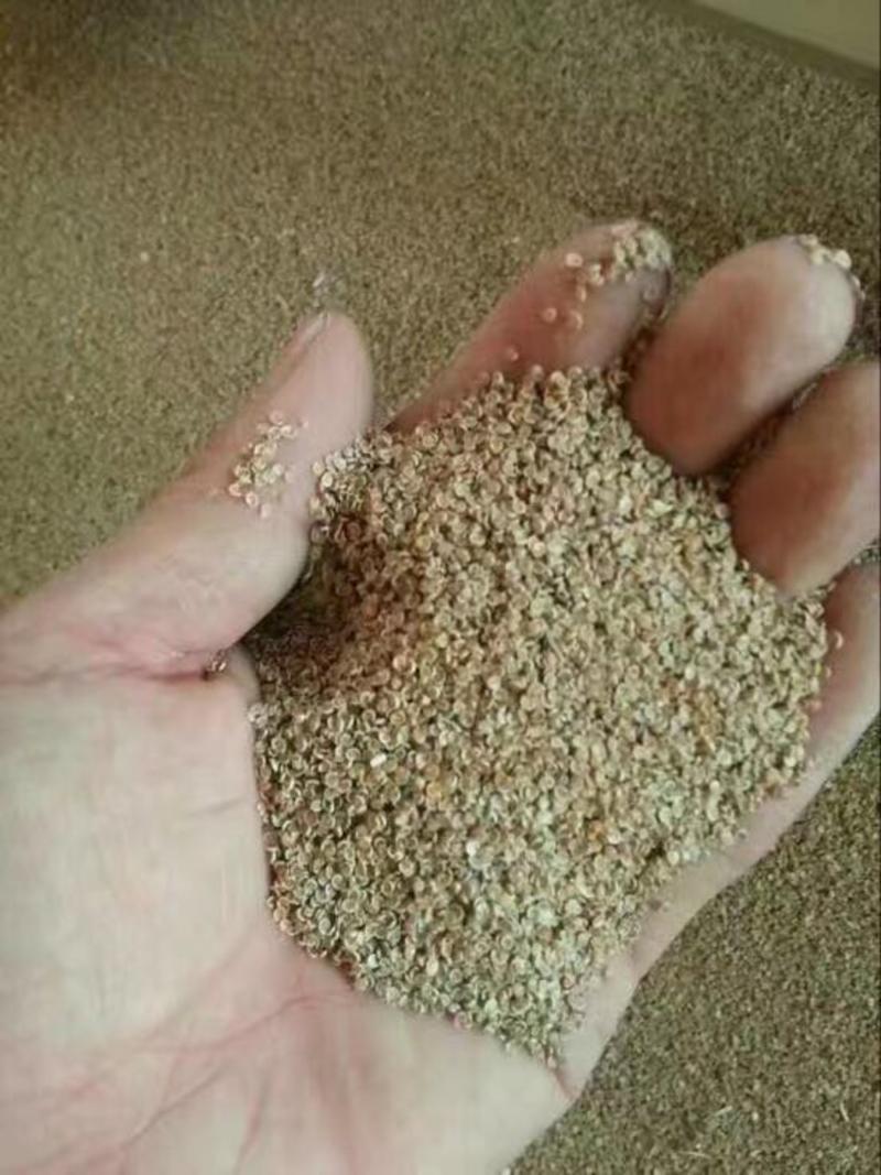 甘肃民勤沙漠米菱米细米精米