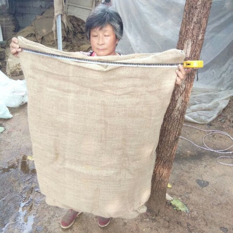编织袋PP覆膜