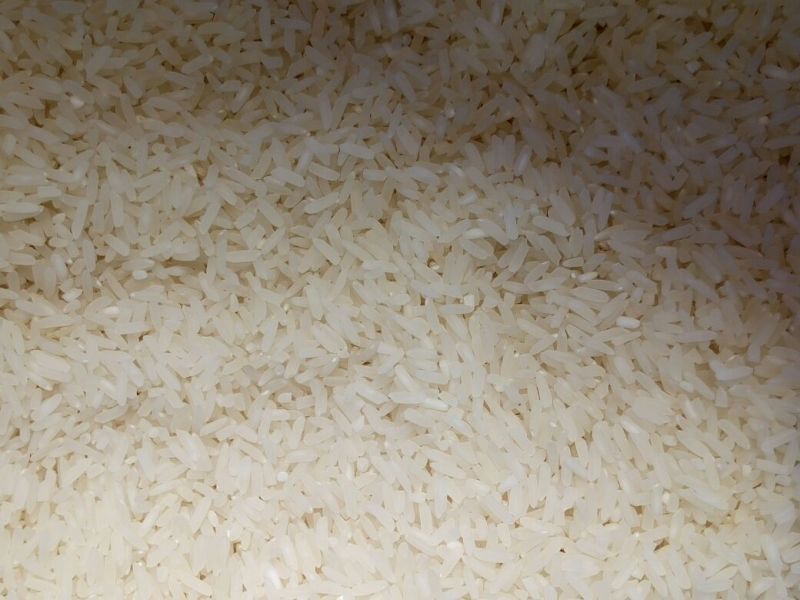 云南软米特级新米