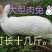 白玉獭兔皮兔肉兔四川兴农家养肉兔种兔