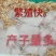白玉獭兔皮兔肉兔四川兴农家养肉兔种兔