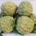 释迦特级250~300g