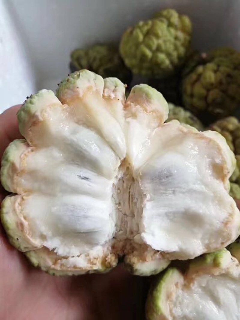 释迦特级250~300g