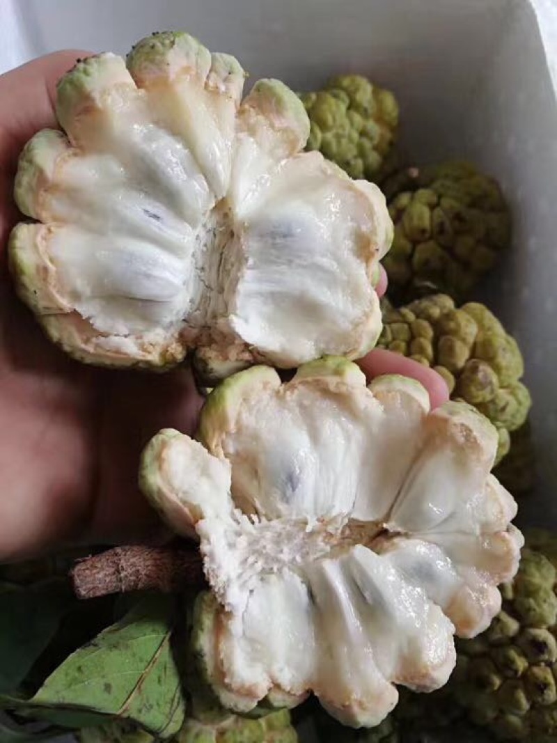 释迦特级250~300g