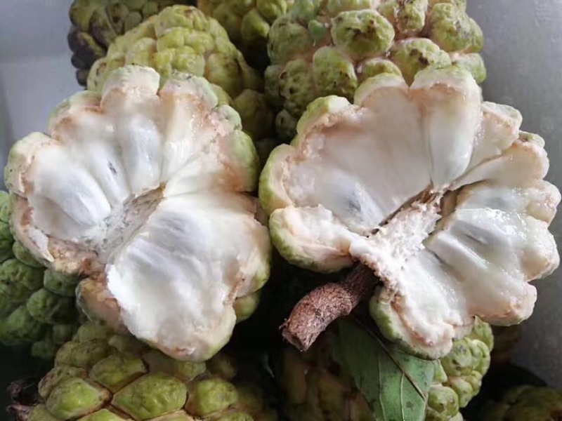 释迦特级250~300g