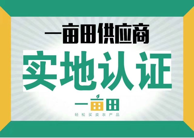育肥驴100~200斤