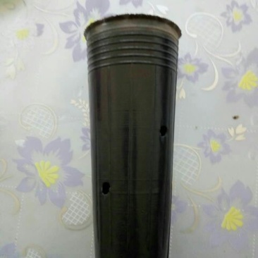 营养钵，营养碗，育苗碗黑碗育苗杯营养碗育苗碗