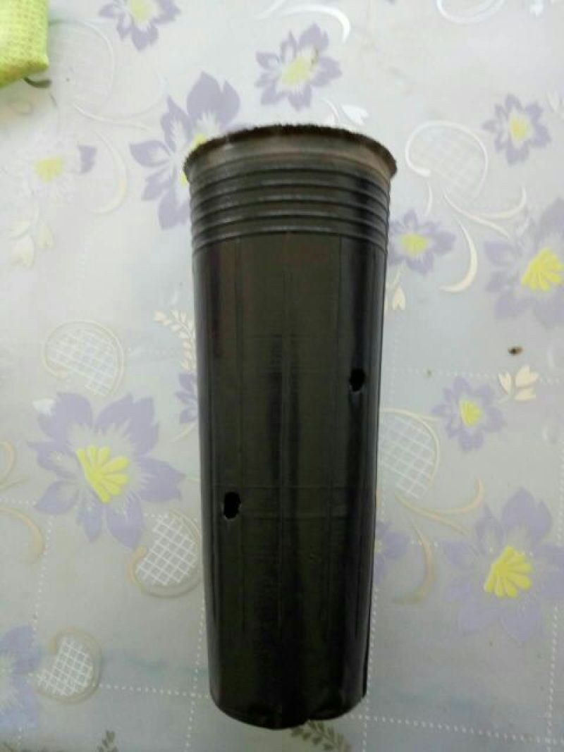 营养钵，营养碗，育苗碗黑碗育苗杯营养碗育苗碗