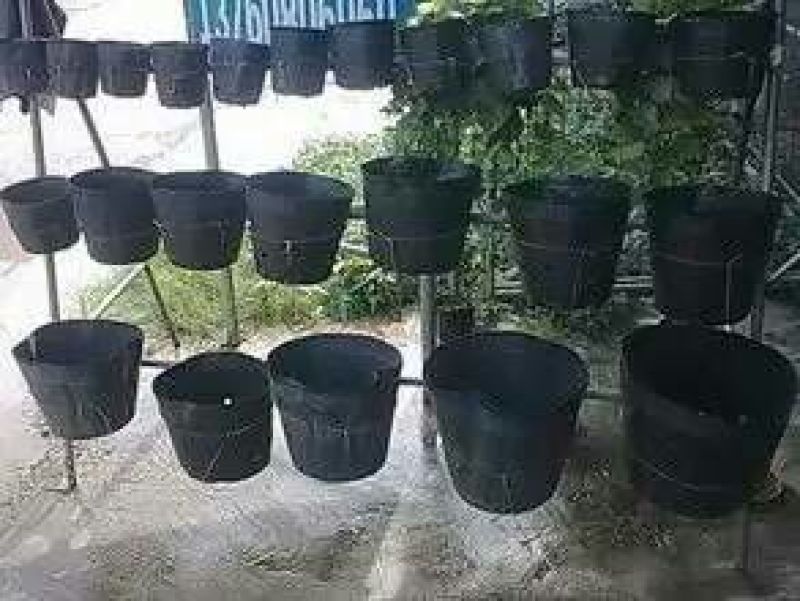 营养钵，营养碗，育苗碗黑碗育苗杯营养碗育苗碗