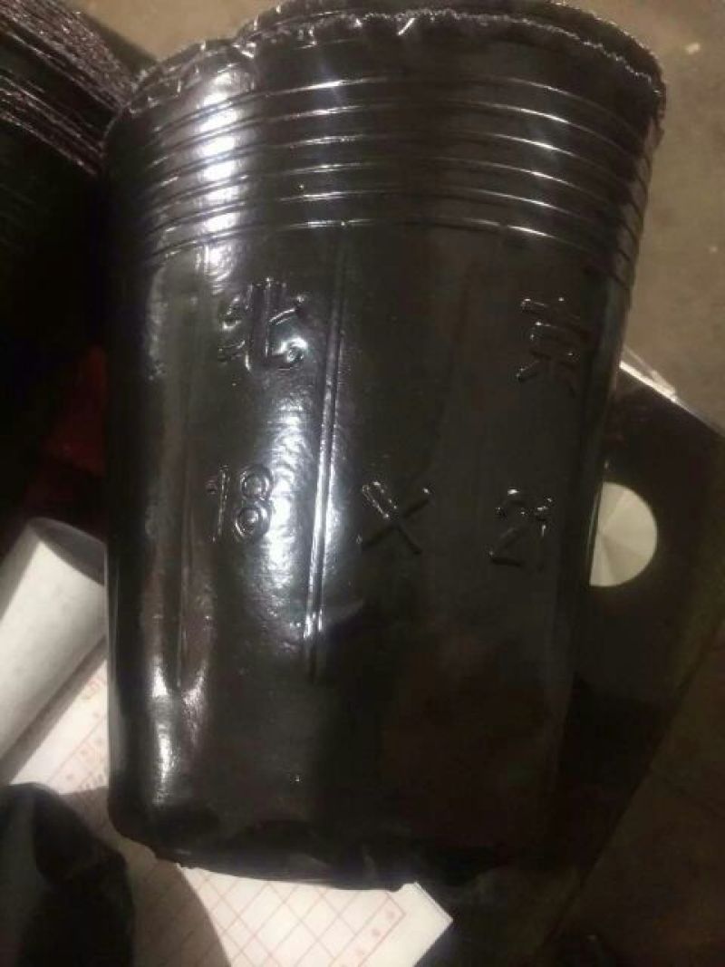 营养钵，营养碗，育苗碗黑碗育苗杯营养碗育苗碗