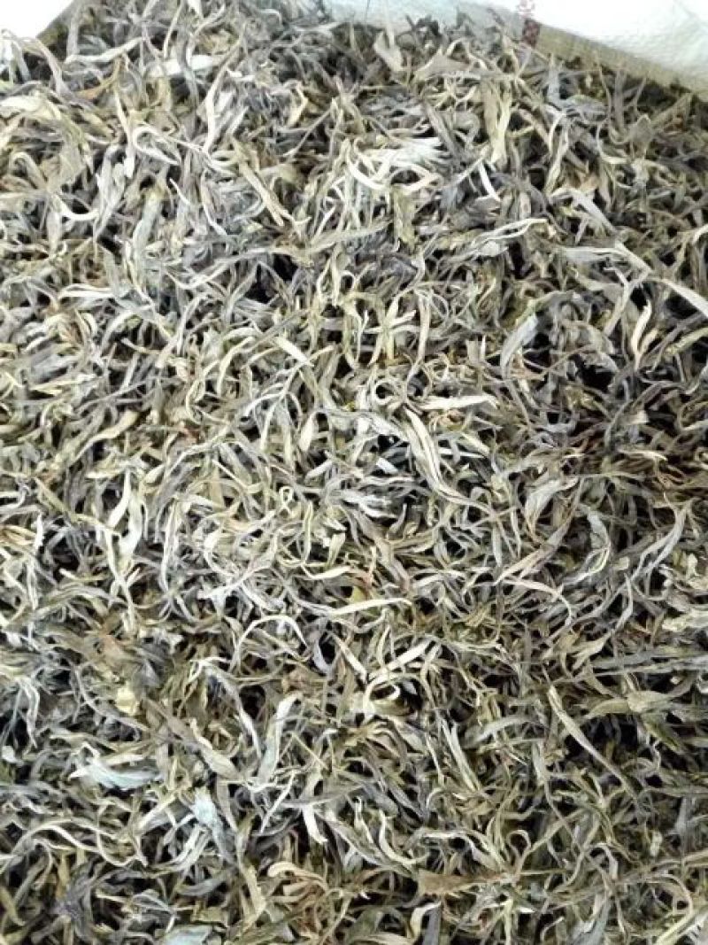 古树普洱茶特级